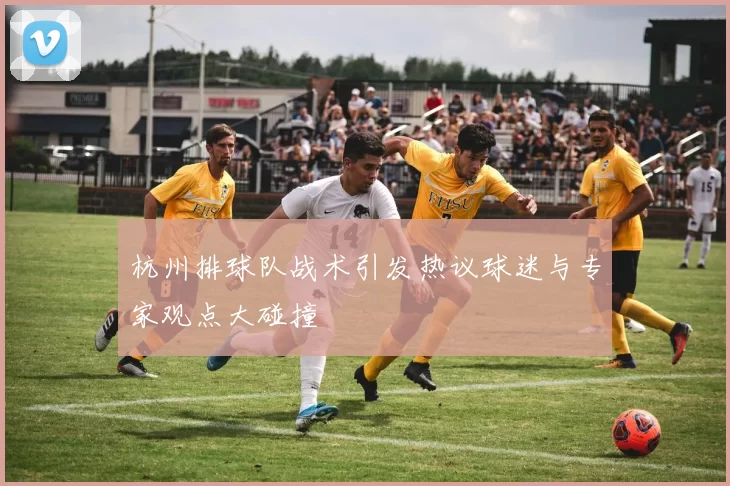 杭州排球队战术引发热议球迷与专家观点大碰撞