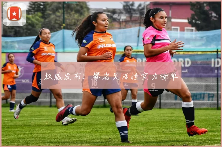 权威发布：攀岩灵活性实力榜单