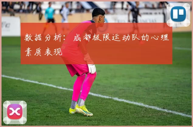 数据分析：成都极限运动队的心理素质表现